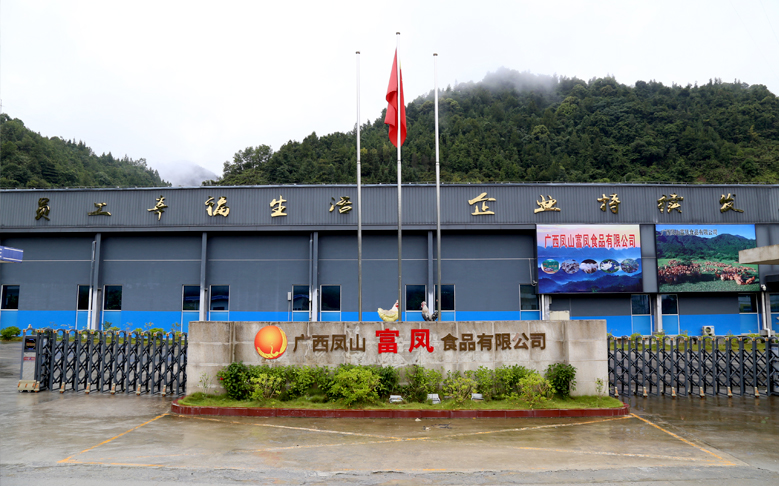 广西凤山91短视频在线观看食品有限公司