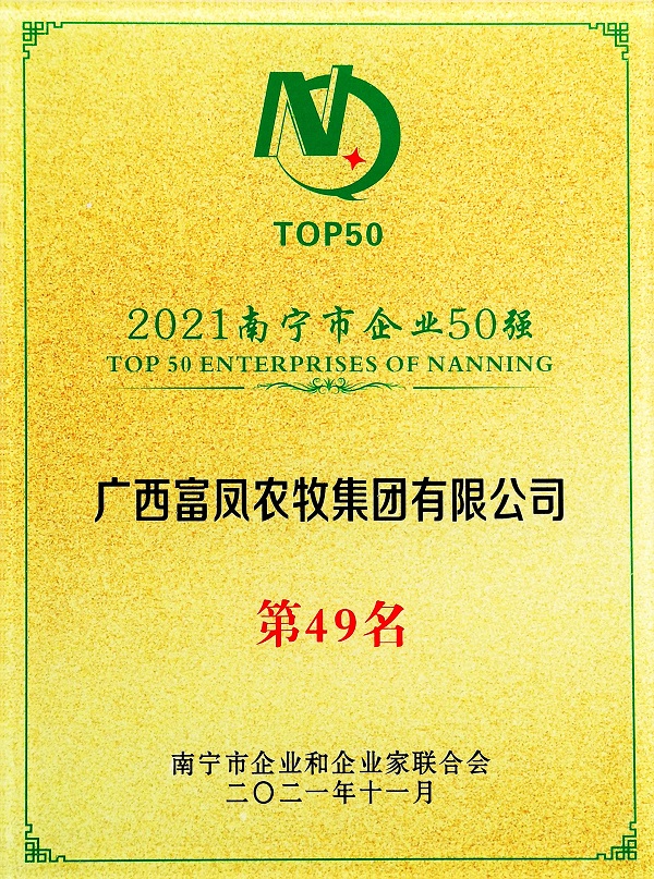 91短视频在线观看集团